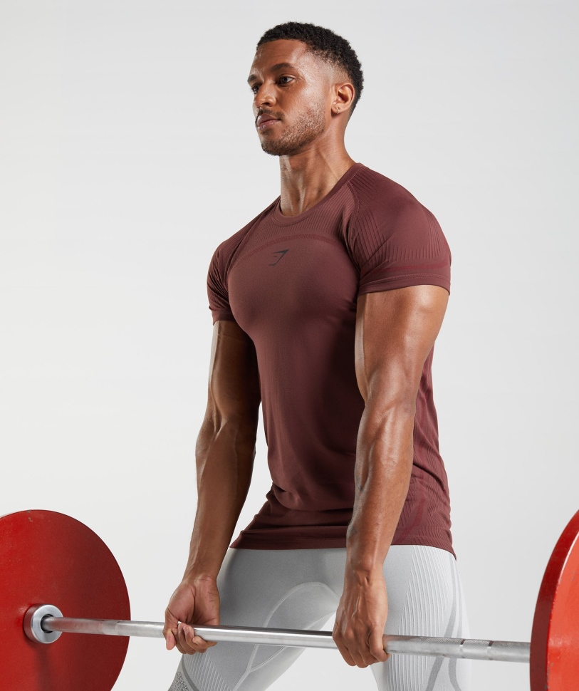 Gymshark 315 μπλουζάκι χωρίς ραφή Cherry Brown