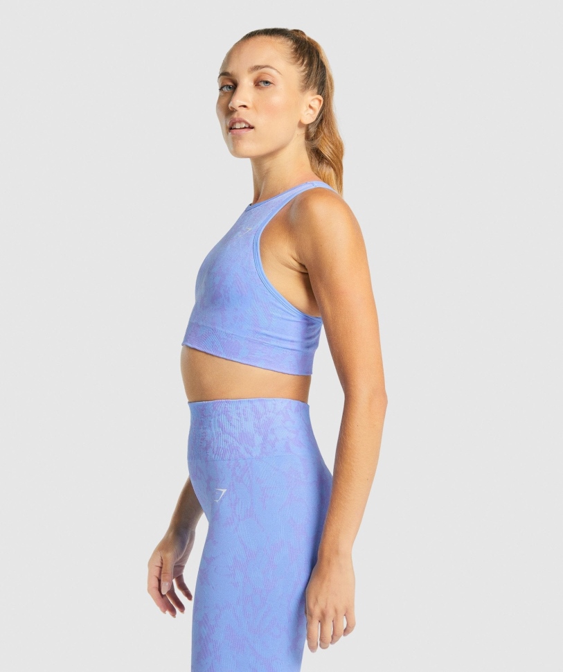 Gymshark προσαρμόζει ζώο χωρίς ραφή αθλητικό σουτιέν πεταλούδα-γαλάζιο