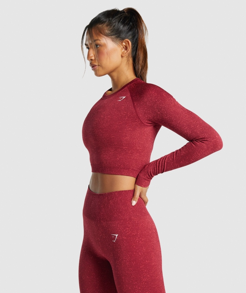 Gymshark Adapt Fleck απρόσκοπτη μακρύ μανίκι Crop Top ορυκτό-μπορντό
