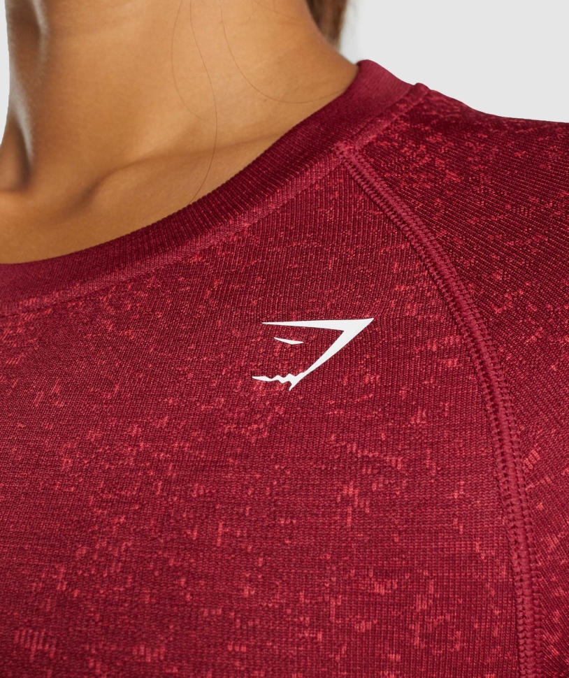 Gymshark Adapt Fleck απρόσκοπτη μακρύ μανίκι Crop Top ορυκτό-μπορντό