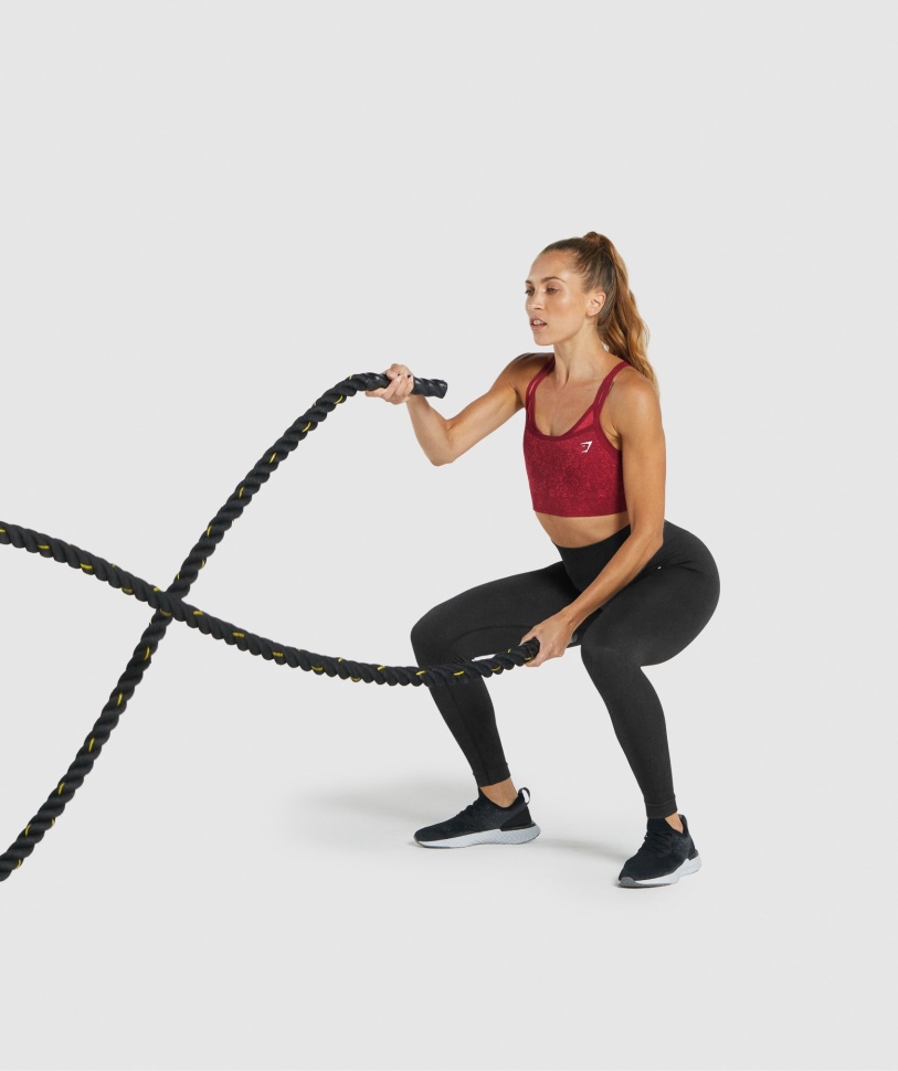 Gymshark Adapt Fleck άνευ ραφής αθλητικό σουτιέν ορυκτό-μπορντό