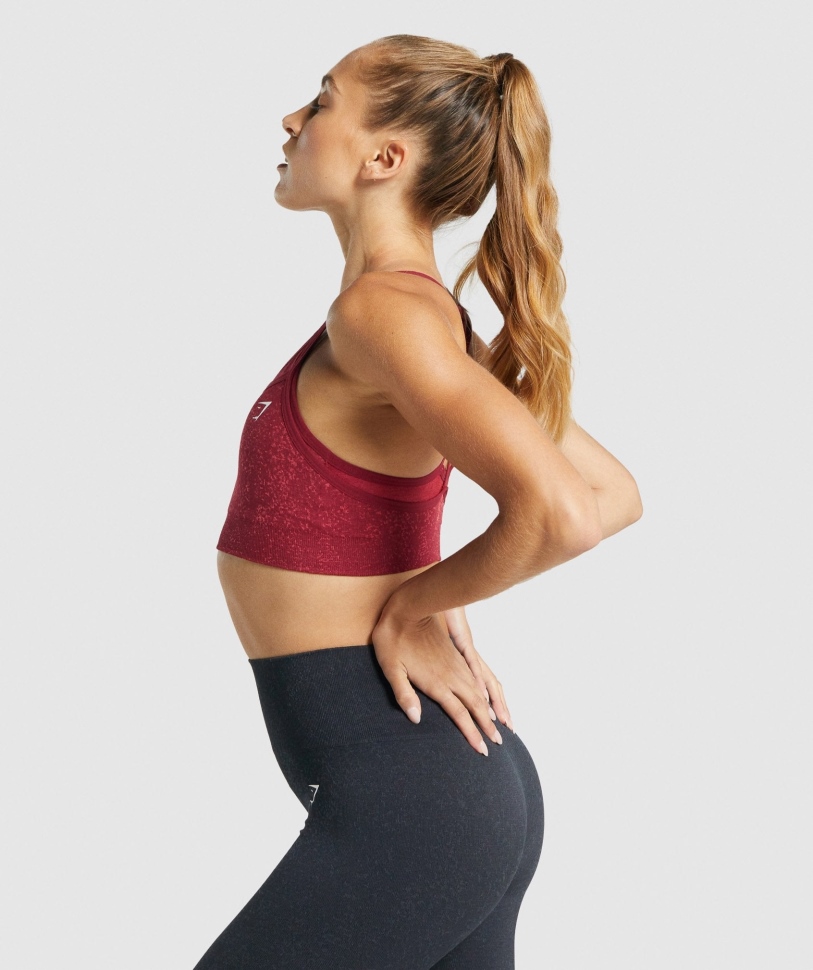 Gymshark Adapt Fleck άνευ ραφής αθλητικό σουτιέν ορυκτό-μπορντό