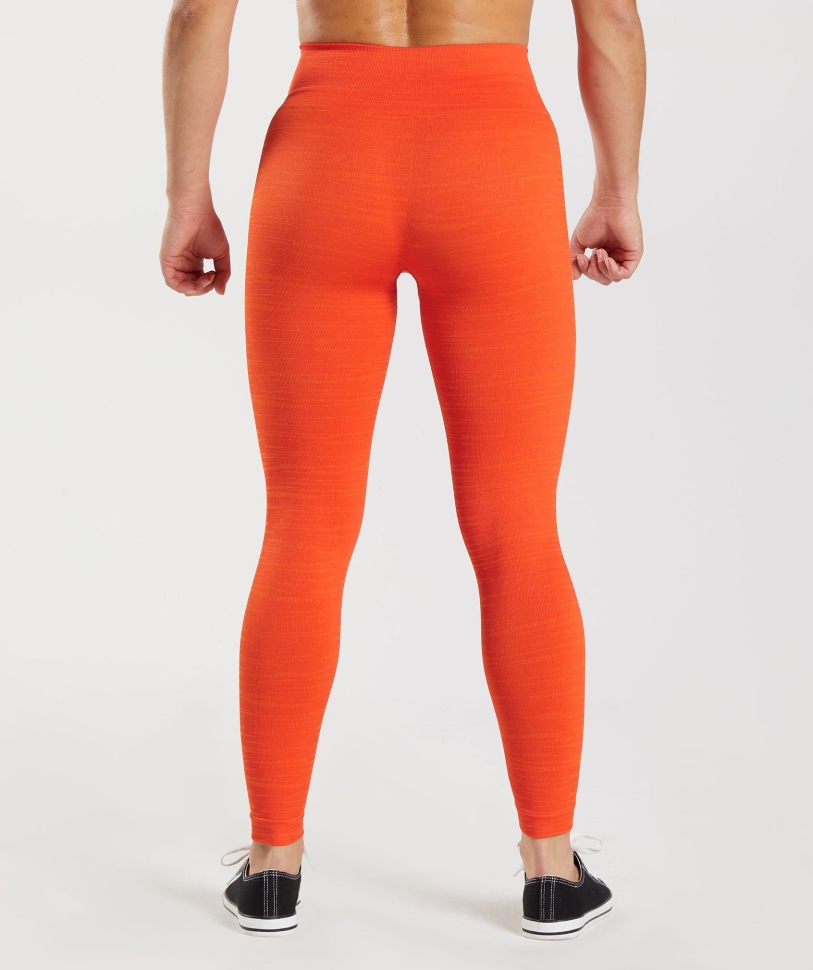 Gymshark προσαρμόζει κολάν χωρίς ραφή μάργα Vlt-πιπεριά κόκκινο-ζεστό πορτοκάλι