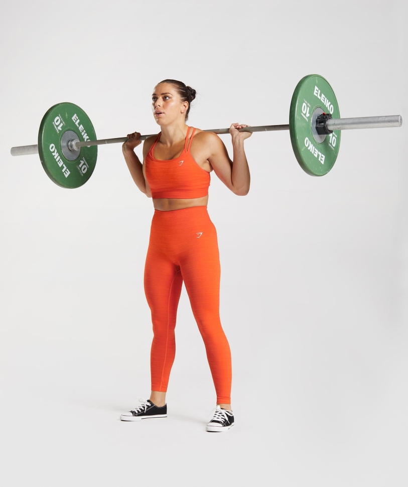 Gymshark προσαρμόζει κολάν χωρίς ραφή μάργα Vlt-πιπεριά κόκκινο-ζεστό πορτοκάλι