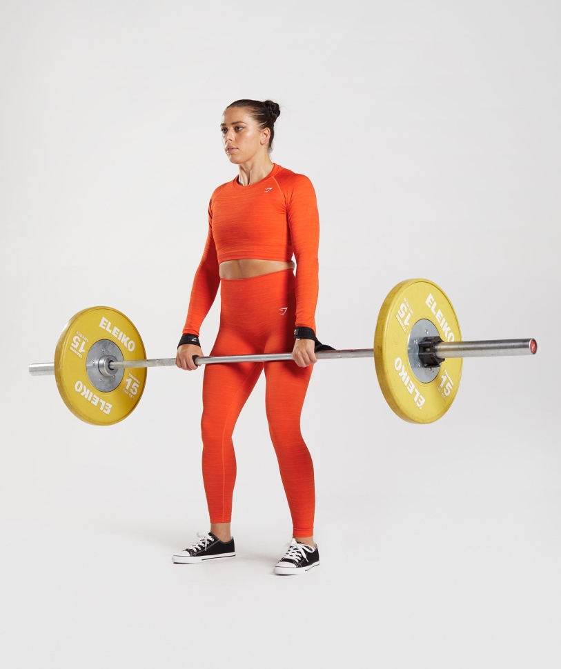 Gymshark Adapt Marl χωρίς ραφές μακρυμάνικο Crop Top Vlt-πιπεριά κόκκινο-ζεστό πορτοκάλι