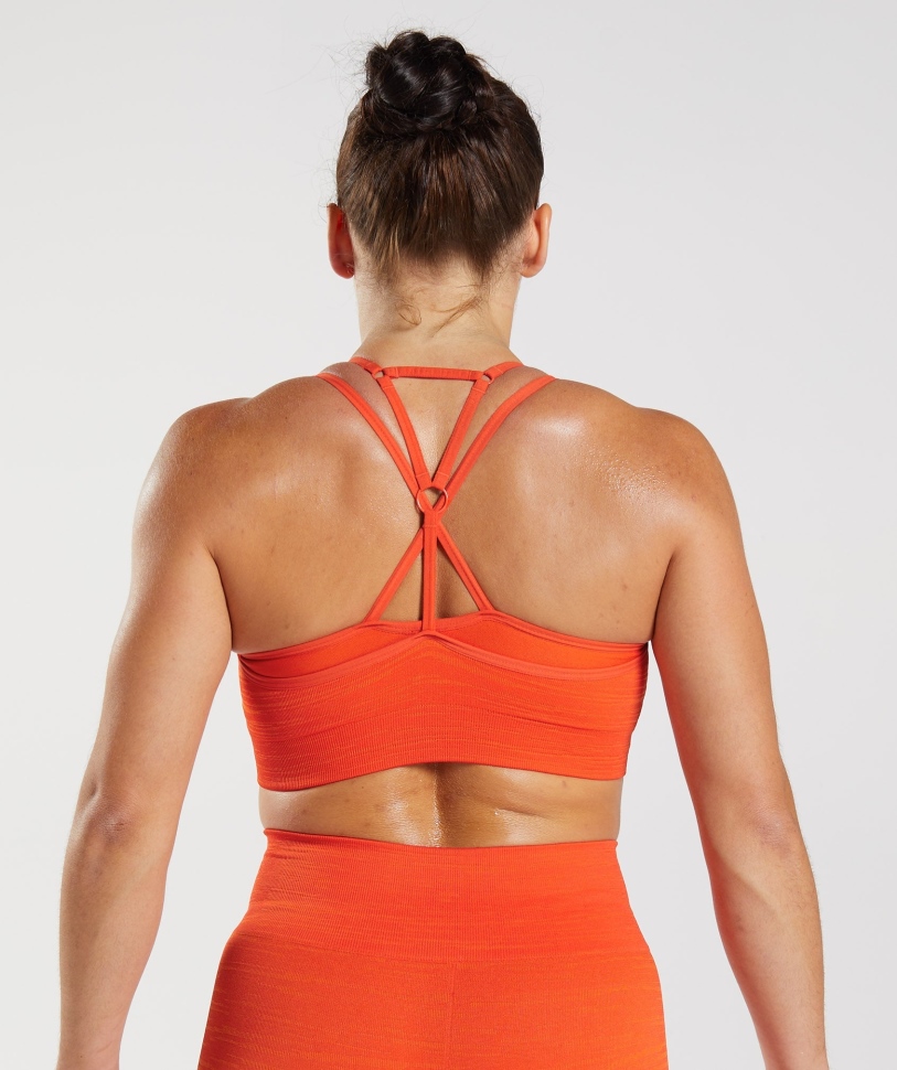Gymshark προσαρμογή Marl άνευ ραφής αθλητικό σουτιέν Vlt-πιπέρι κόκκινο-ζεστό πορτοκάλι