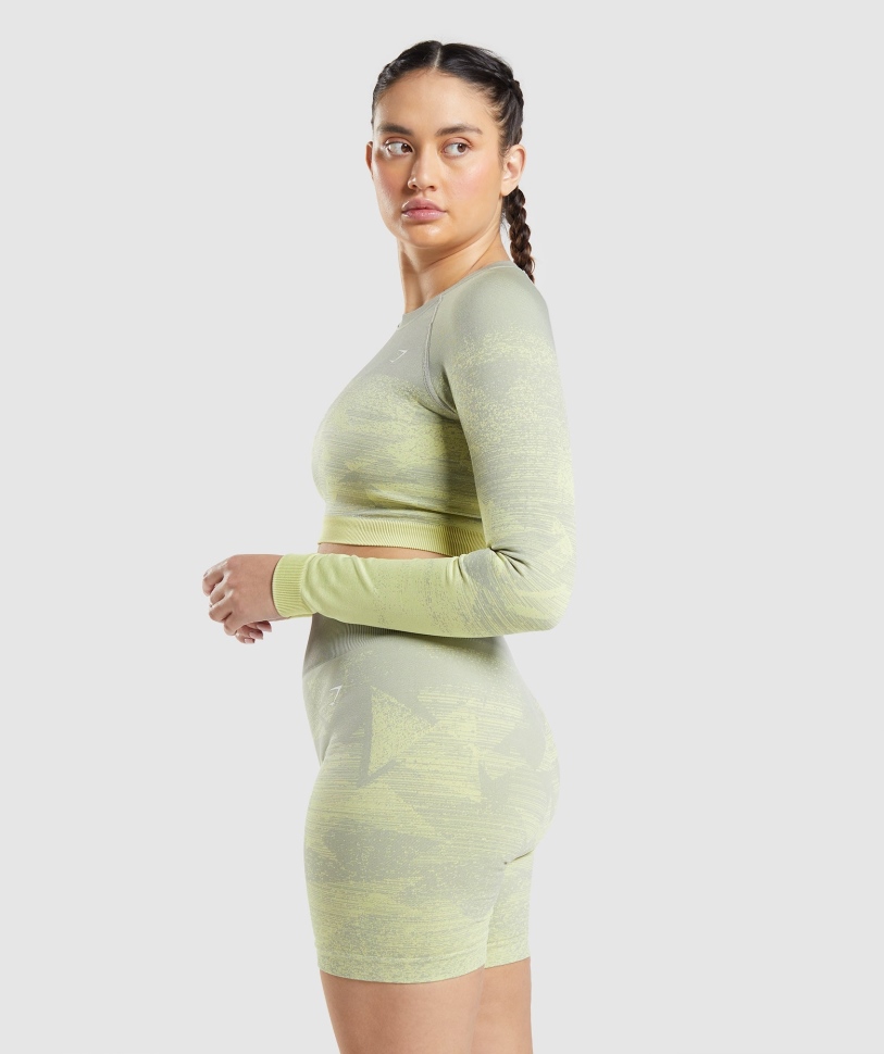 Gymshark προσαρμογή Ombre Crop Top τρίγωνο-ταουπ γκρι