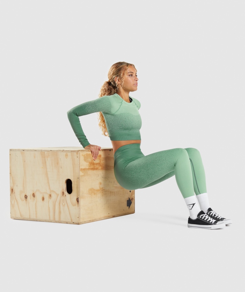 Gymshark προσαρμογή Ombre χωρίς ραφή μακρυμάνικο Crop Top πράσινο-ανοιχτό πράσινο