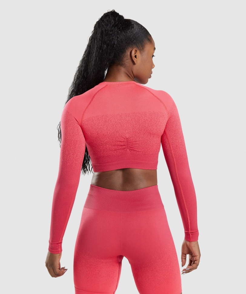 Gymshark προσαρμογή Ombre χωρίς ραφή μακρυμάνικο Crop Top ροζ-κόκκινο