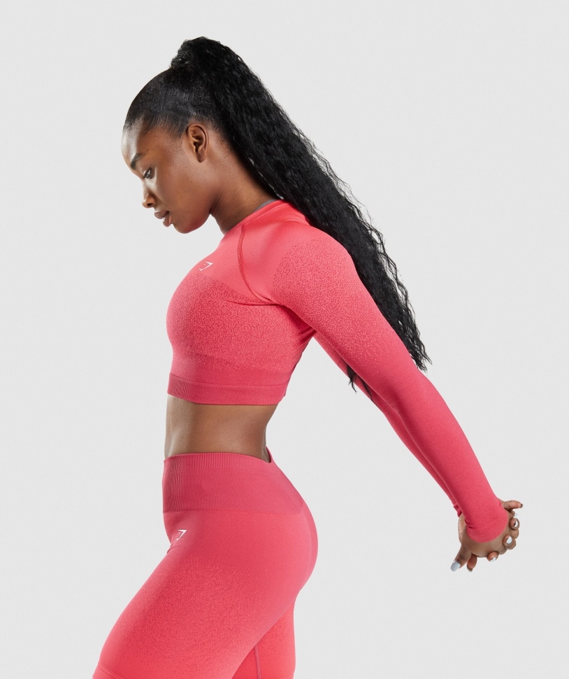 Gymshark προσαρμογή Ombre χωρίς ραφή μακρυμάνικο Crop Top ροζ-κόκκινο