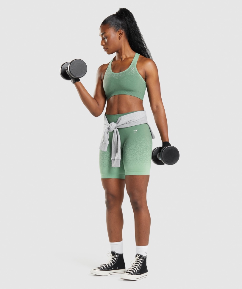 Gymshark προσαρμογή Ombre χωρίς ραφή αθλητικό σουτιέν πράσινο-ανοιχτό πράσινο
