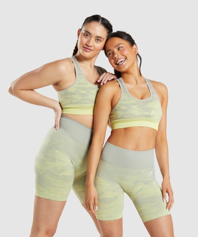 Gymshark προσαρμογή Ombre χωρίς ραφή αθλητικό σουτιέν τρίγωνο-ταουπέ γκρι