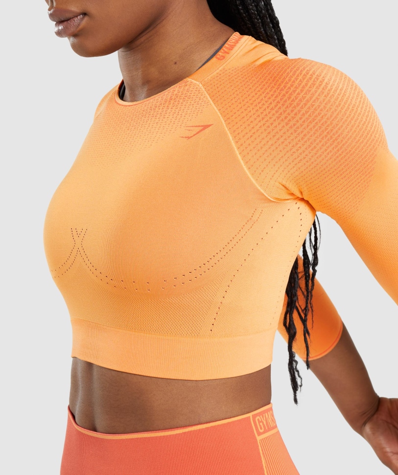 Gymshark Apex απρόσκοπτη Crop Top βερίκοκο πορτοκάλι-παπάγια πορτοκάλι