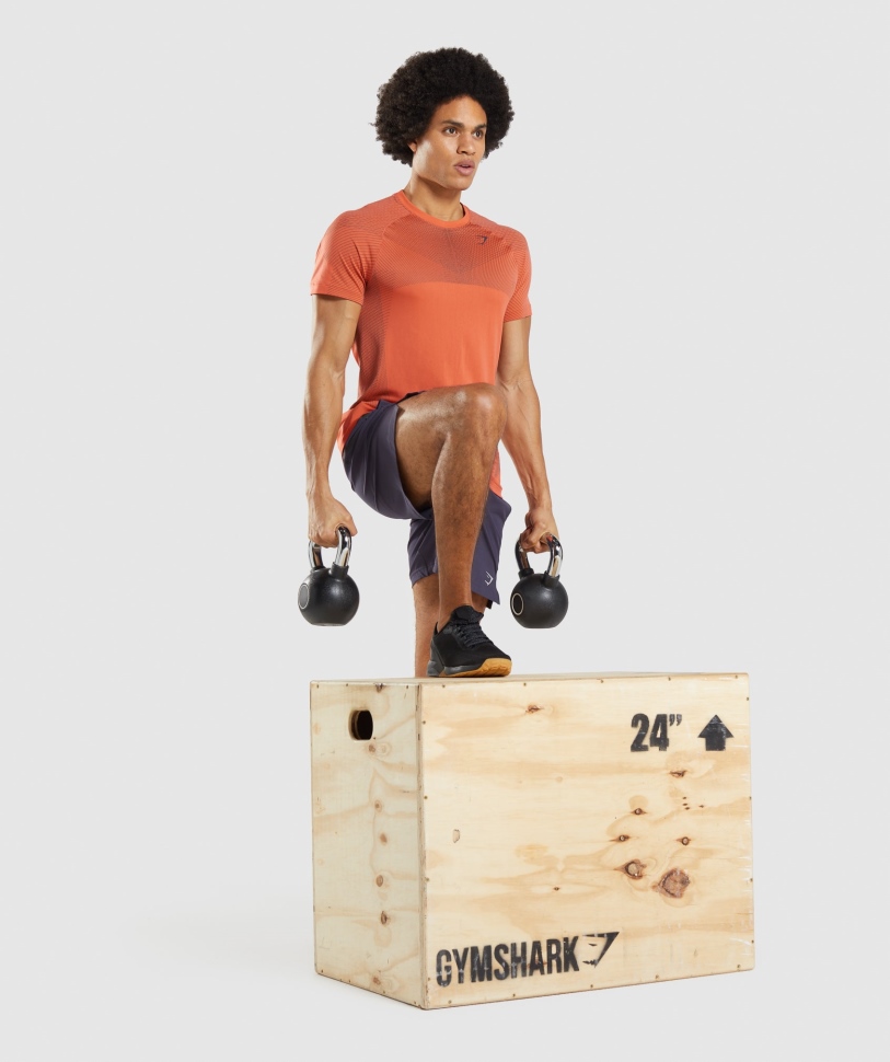 Gymshark Apex μπλουζάκι χωρίς ραφή παπάγια πορτοκαλί-όνυχα γκρι