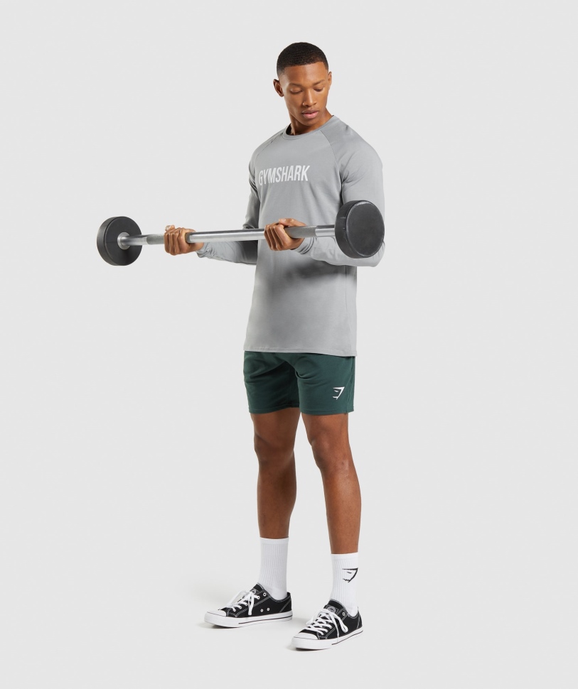 Gymshark Apollo μακρυμάνικο μπλουζάκι Smokey γκρι