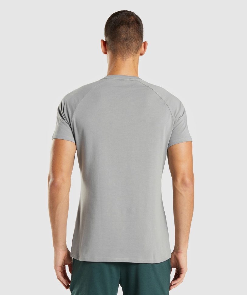 Gymshark Apollo T-shirt ανδρική καπνιστή γκρι