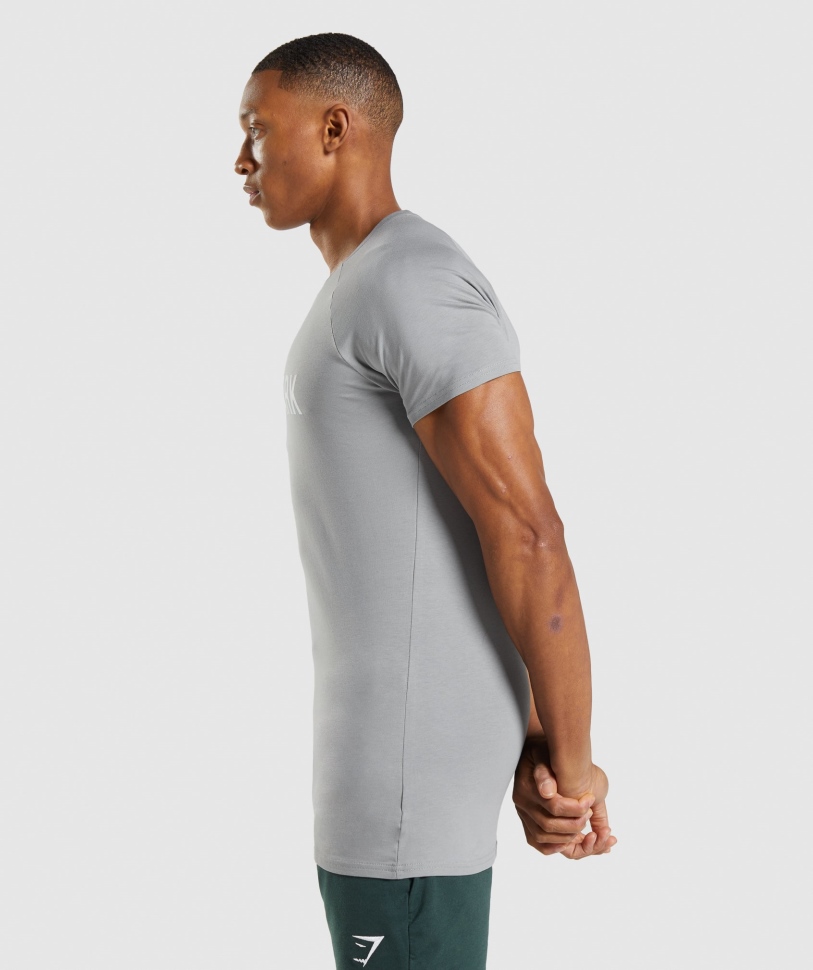 Gymshark Apollo T-shirt καπνιστό γκρι