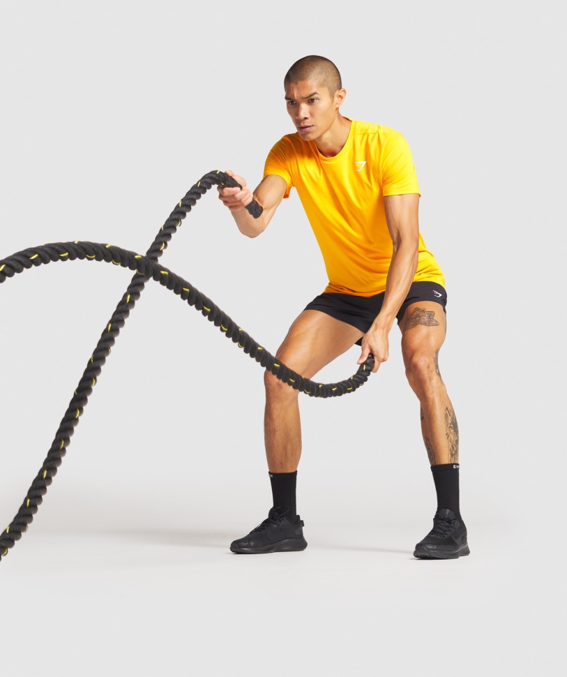 Gymshark άφιξη 5