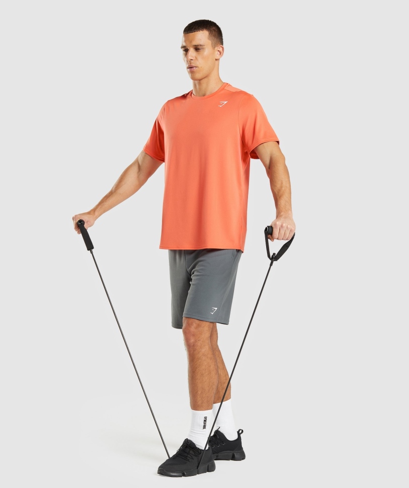 άφιξη Gymshark κανονική εφαρμογή μπλουζάκι παπάγια πορτοκαλί