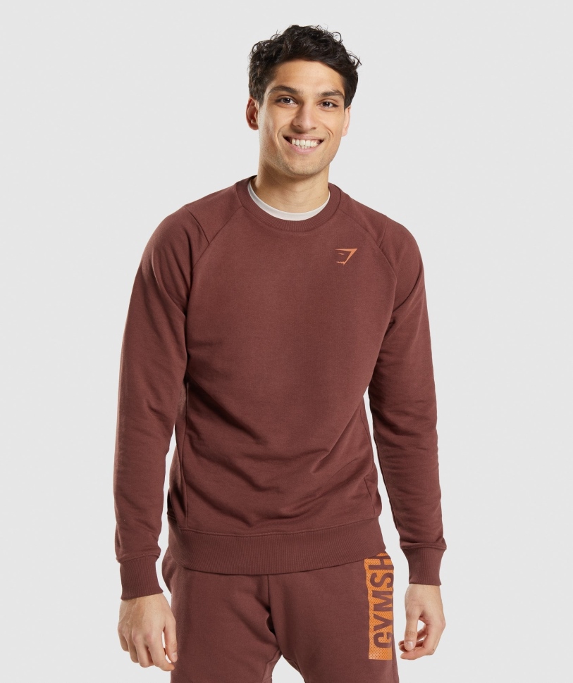 Gymshark Bold Crew Cherry Brown