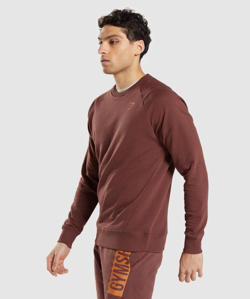 Gymshark Bold Crew Cherry Brown