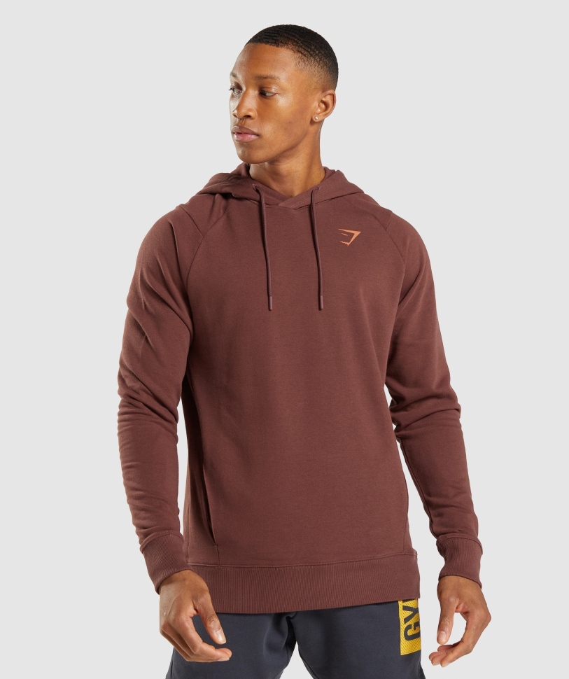 Gymshark τολμηρό Hoodie καφέ κερασί