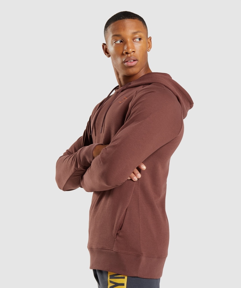 Gymshark τολμηρό Hoodie καφέ κερασί