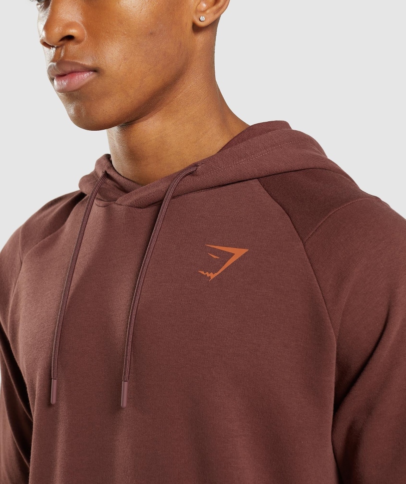 Gymshark τολμηρό Hoodie καφέ κερασί
