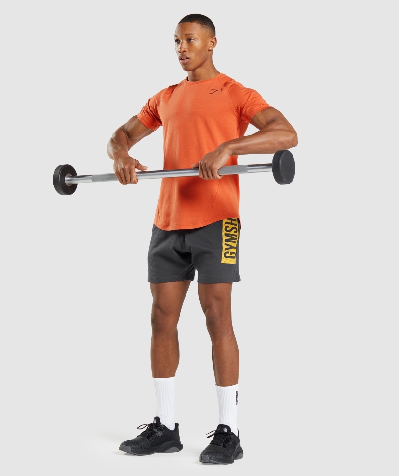 Gymshark τολμηρό μπλουζάκι πήλινο πορτοκαλί