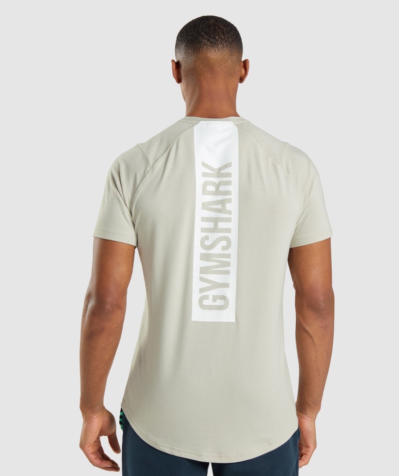 Gymshark τολμηρό ανδρικό μπλουζάκι σε γκρι βότσαλο