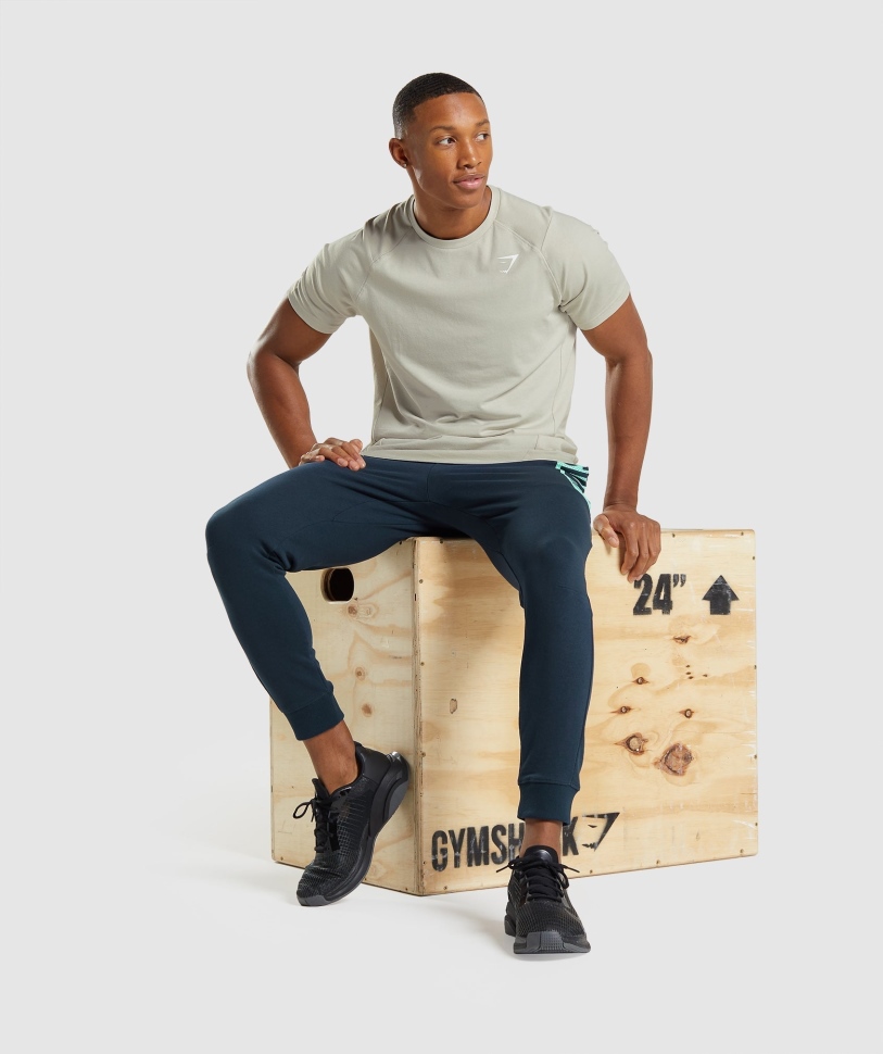 Gymshark τολμηρό ανδρικό μπλουζάκι σε γκρι βότσαλο