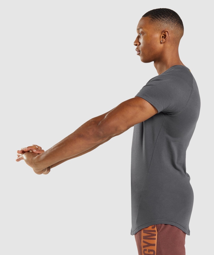 Gymshark τολμηρό μπλουζάκι Onyx γκρι