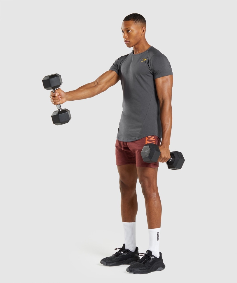 Gymshark τολμηρό μπλουζάκι Onyx γκρι