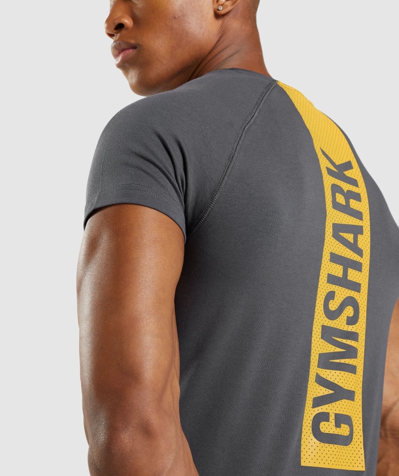 Gymshark τολμηρό μπλουζάκι Onyx γκρι