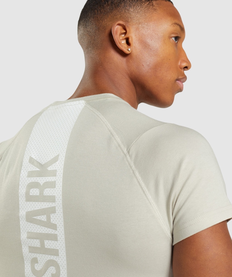 Gymshark τολμηρό μπλουζάκι σε γκρι βότσαλο