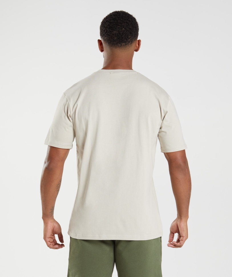 Gymshark Crest T-shirt σε γκρι βότσαλο