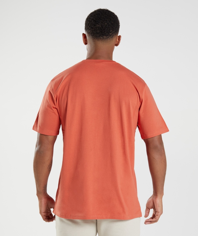 Gymshark Crest T-shirt κόκκινο καταιγίδα