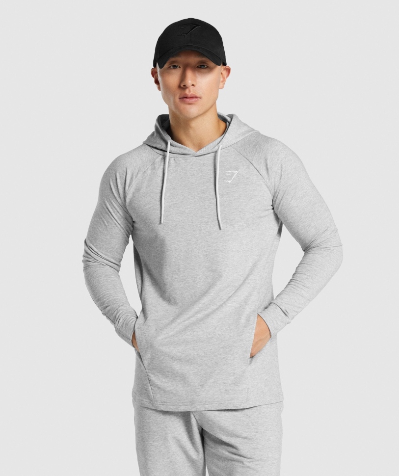 Gymshark Kritik 2.0 Hoodie ανοιχτό γκρι Marl