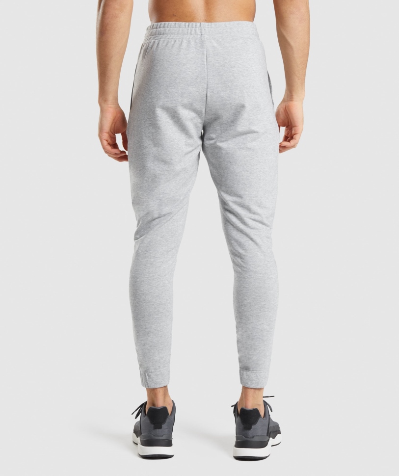 Gymshark Kritik 2.0 Joggers Men ανοιχτό γκρι Marl