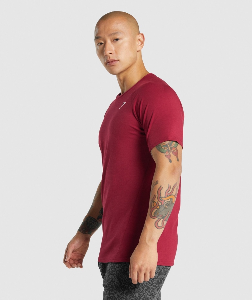 Gymshark Critical 2.0 T-shirt μπορντό