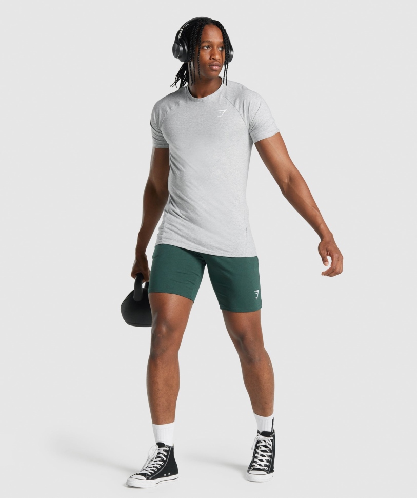 Gymshark Critical 2.0 T-shirt ανοιχτό γκρι Marl