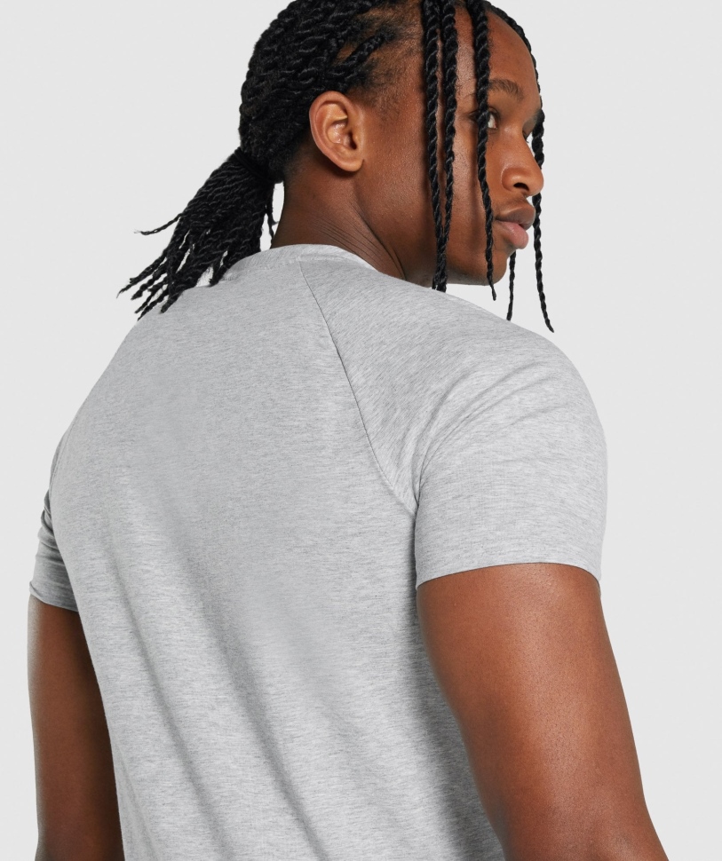 Gymshark Critical 2.0 T-shirt ανοιχτό γκρι Marl