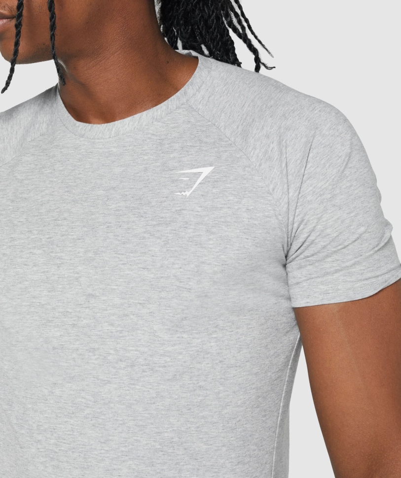 Gymshark Critical 2.0 T-shirt ανοιχτό γκρι Marl