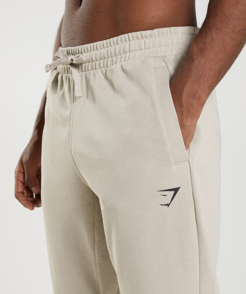 Gymshark απαραίτητο μεγάλου μεγέθους Joggers βότσαλο γκρι