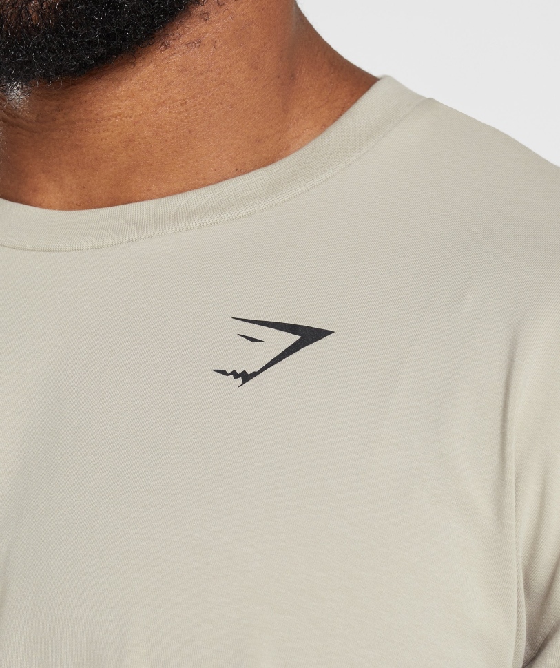 Gymshark απαραίτητο μεγάλο μπλουζάκι σε γκρι βότσαλο