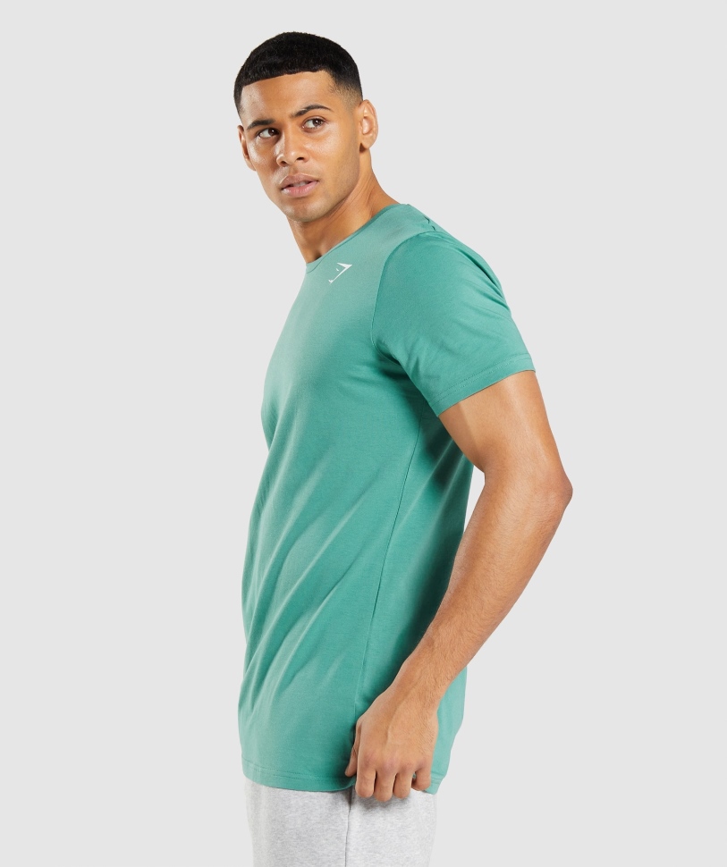 Gymshark απαραίτητο μπλουζάκι αλπικό πράσινο