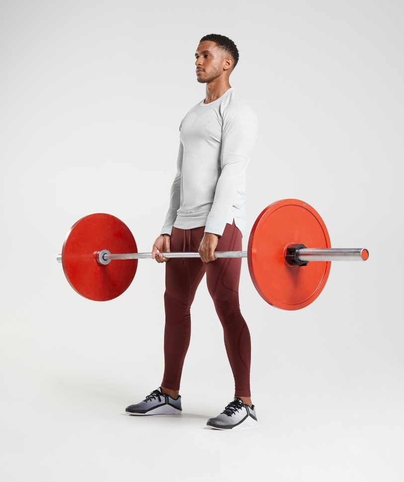 μακρυμάνικο μπλουζάκι Gymshark σε ανοιχτό γκρι