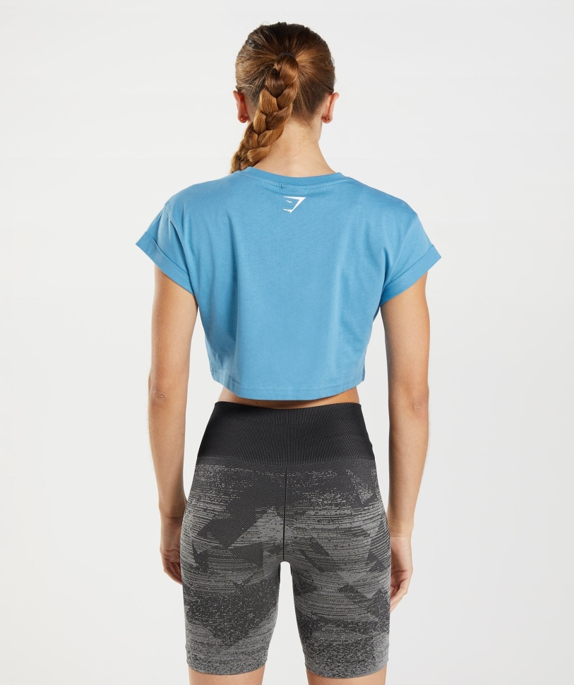 Gymshark Fraction Crop Top παράκτιο μπλε