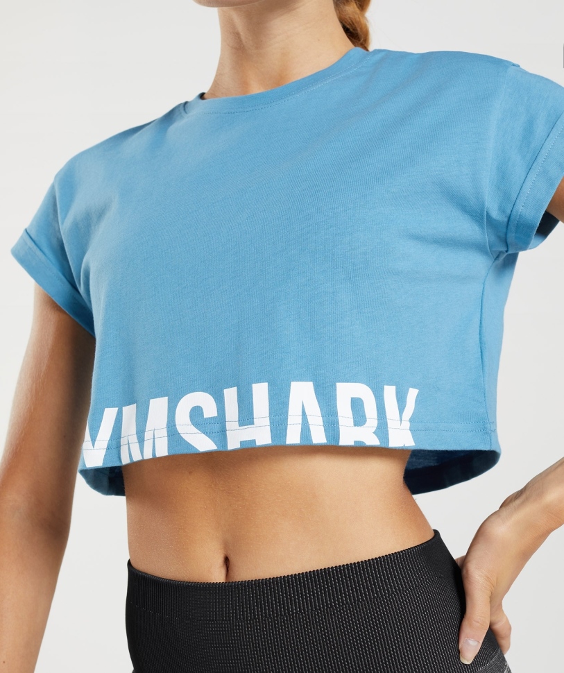 Gymshark Fraction Crop Top παράκτιο μπλε