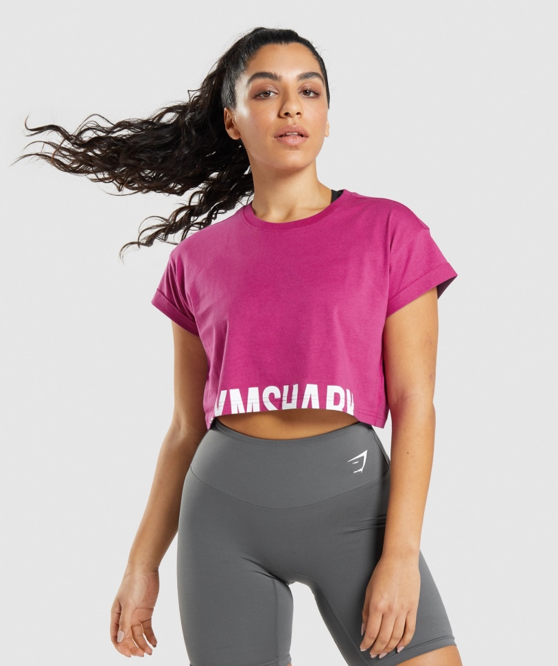 Gymshark Fraction Crop Top Dragon Pink